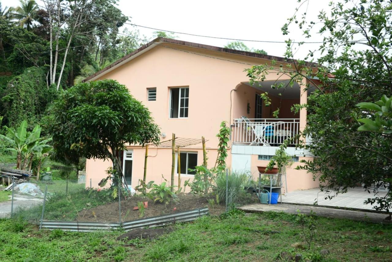 Maison Lavanne Saint-Joseph Экстерьер фото